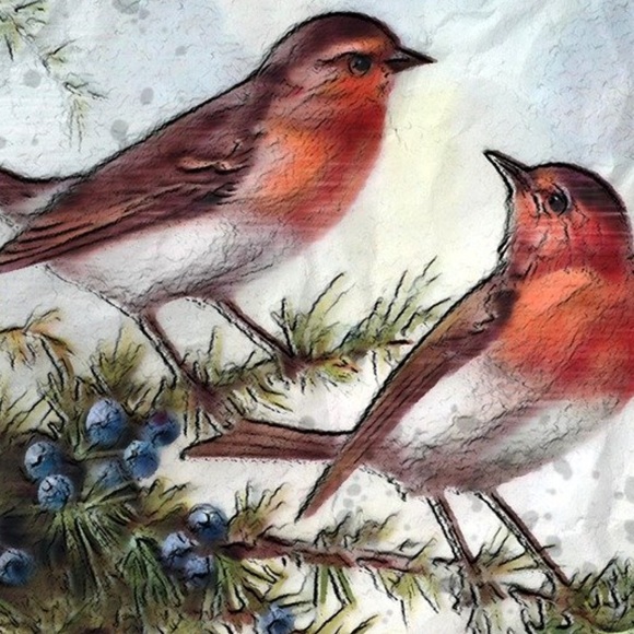 Meet your Posher, Joanne - Picture 1 of 1